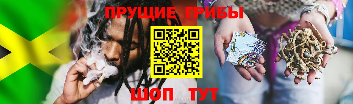 Галлюциногенные грибы мухоморы Железноводск